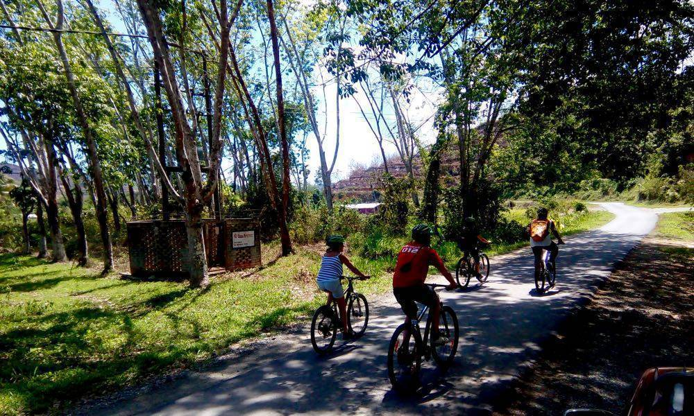 A family cycling through the foliage of KK