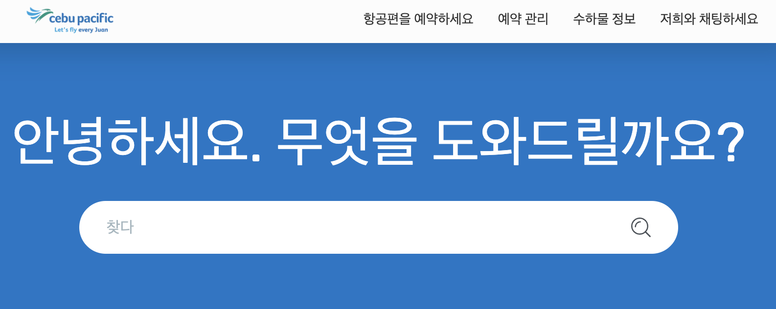 세부퍼시픽 온라인 체크인 홈페이지