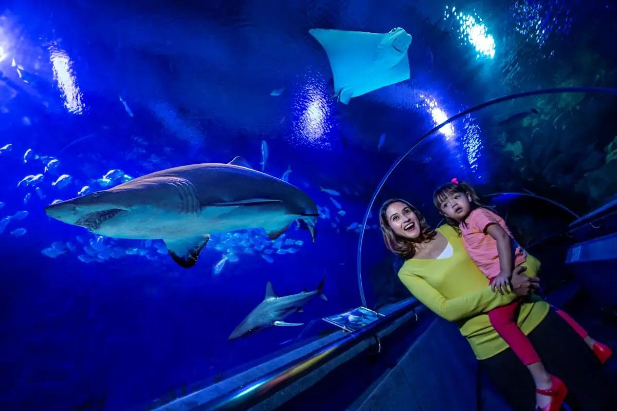 吉隆坡城中城水族館