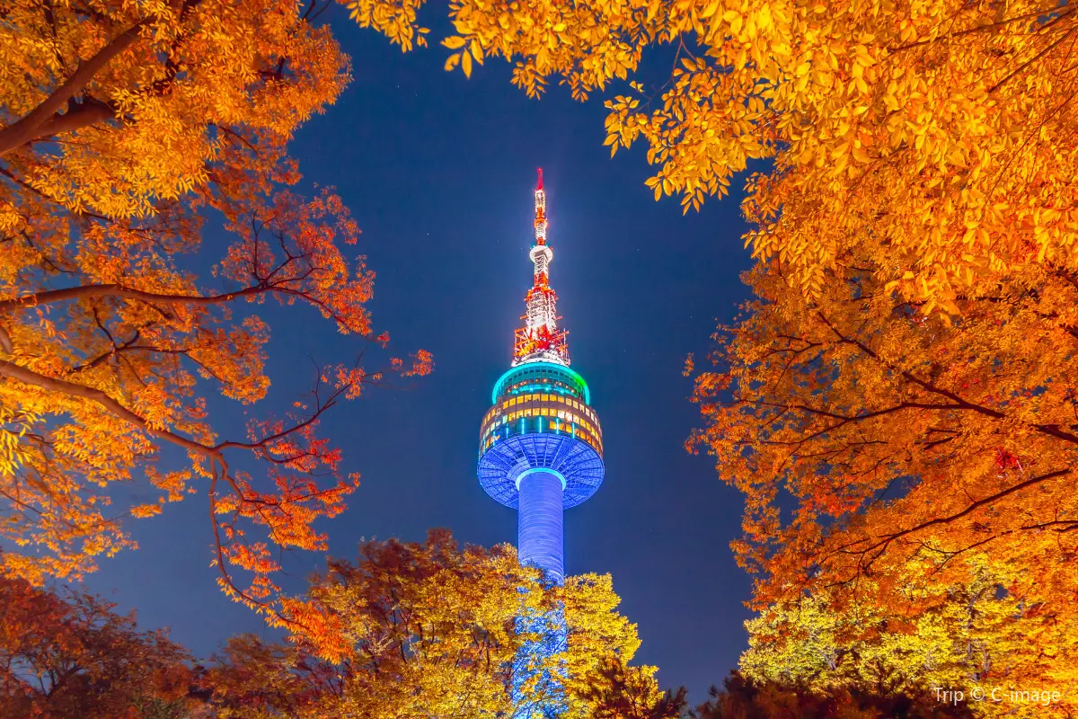 night view of N Seoul Tower