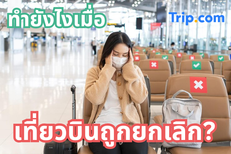 เที่ยวบินถูกยกเลิก