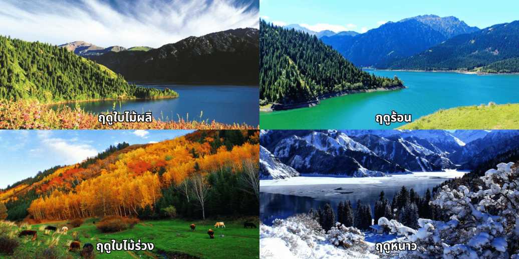 4 ฤดูในซินเจียง