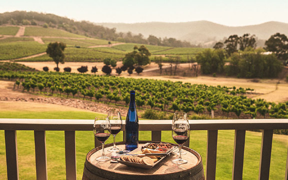 시드니 와이너리 투어