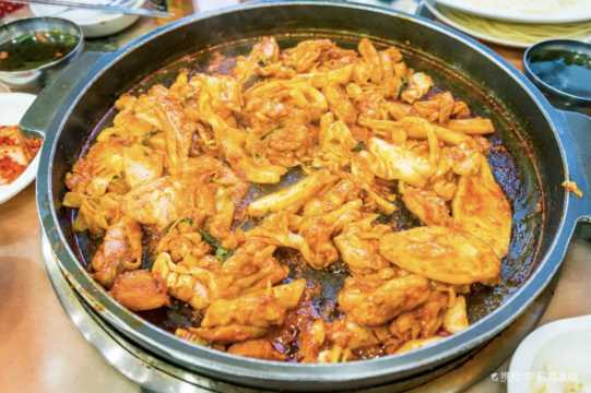 춘천 벚꽃 맛집