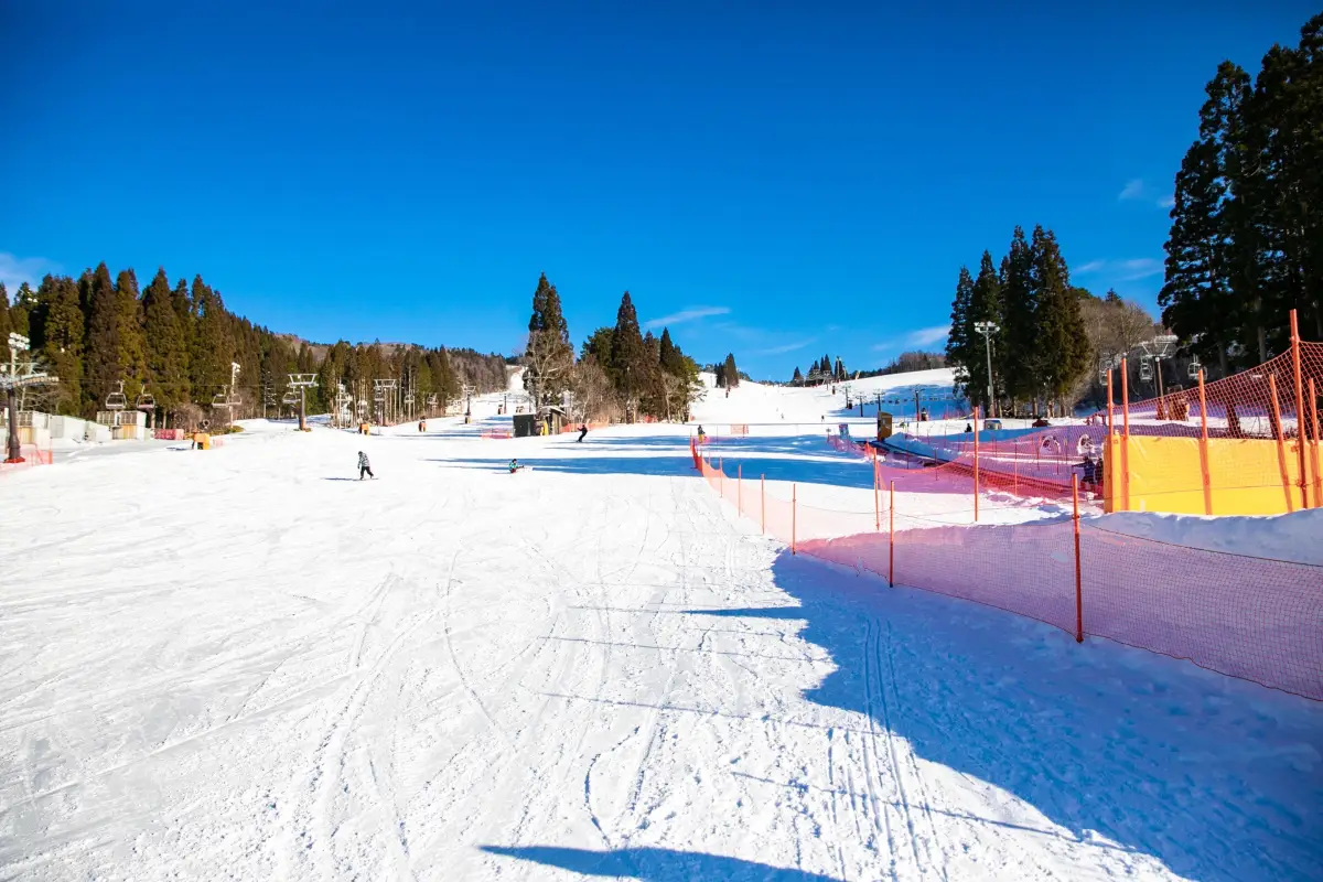 名古屋滑雪, 高鷲 Snow Park