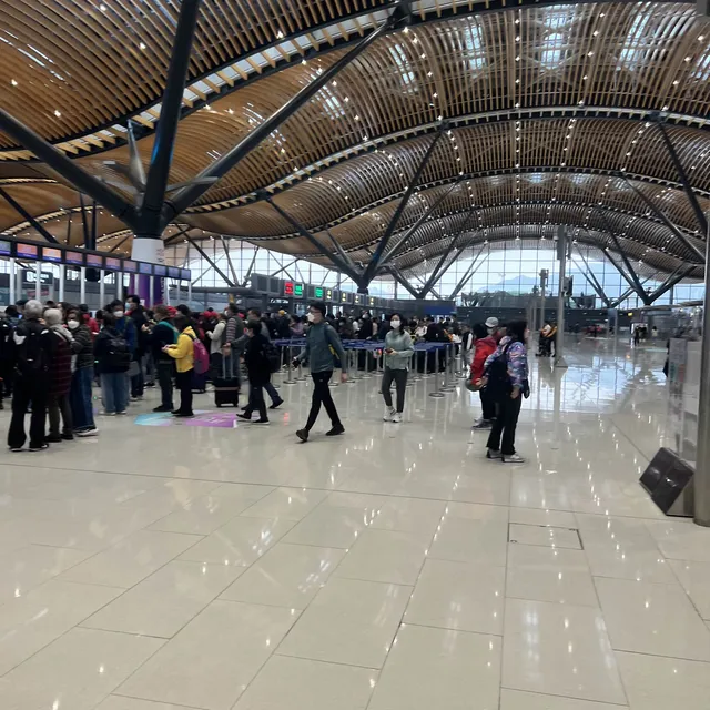 珠海金巴, 港珠澳大橋