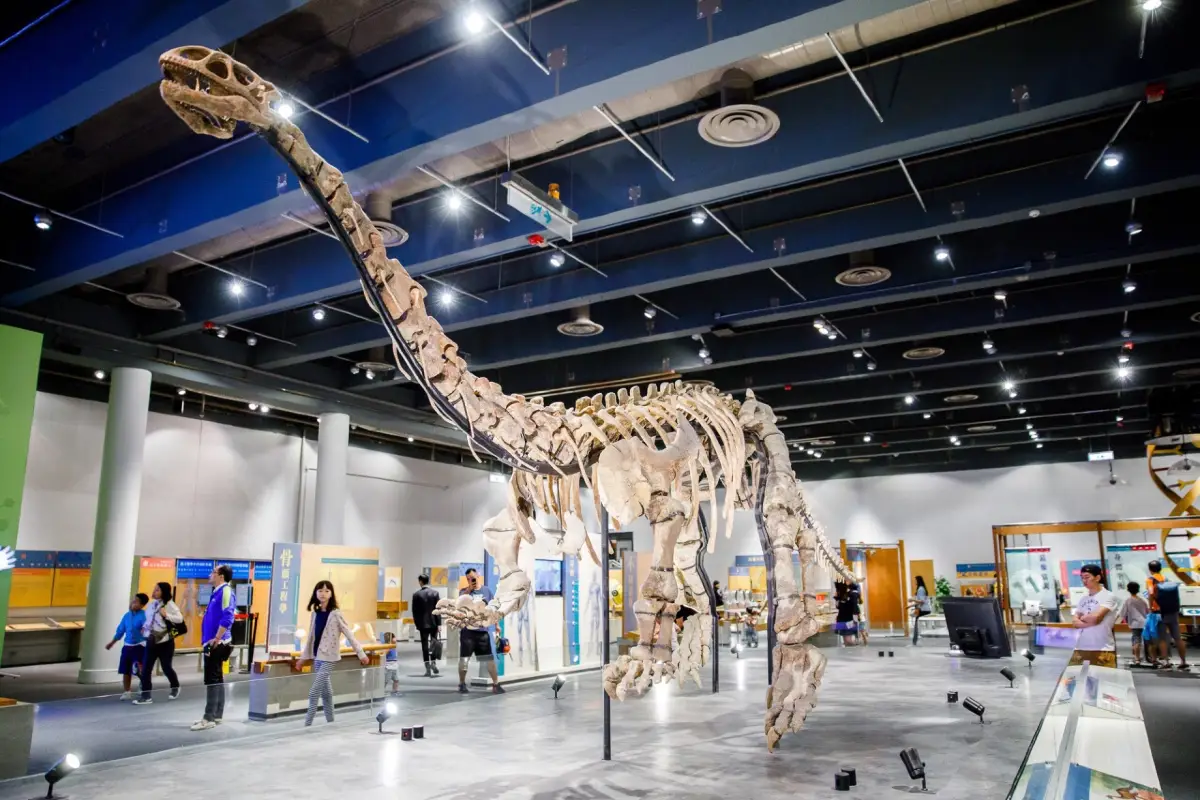 The interior of the science museum, a replica of a dinosaur bone
