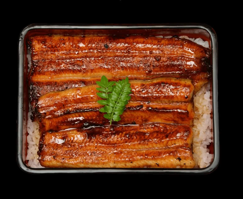 小川菊鰻魚飯