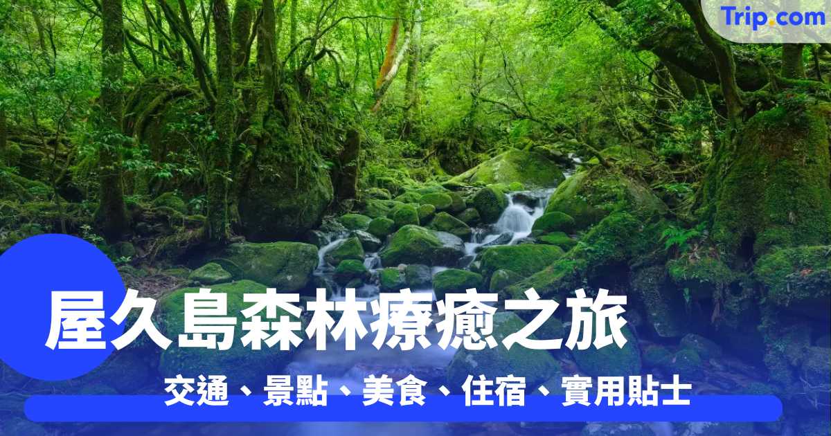 屋久島森林療癒之旅 交通、景點、美食、住宿、實用貼士全搜羅 | Trip.com