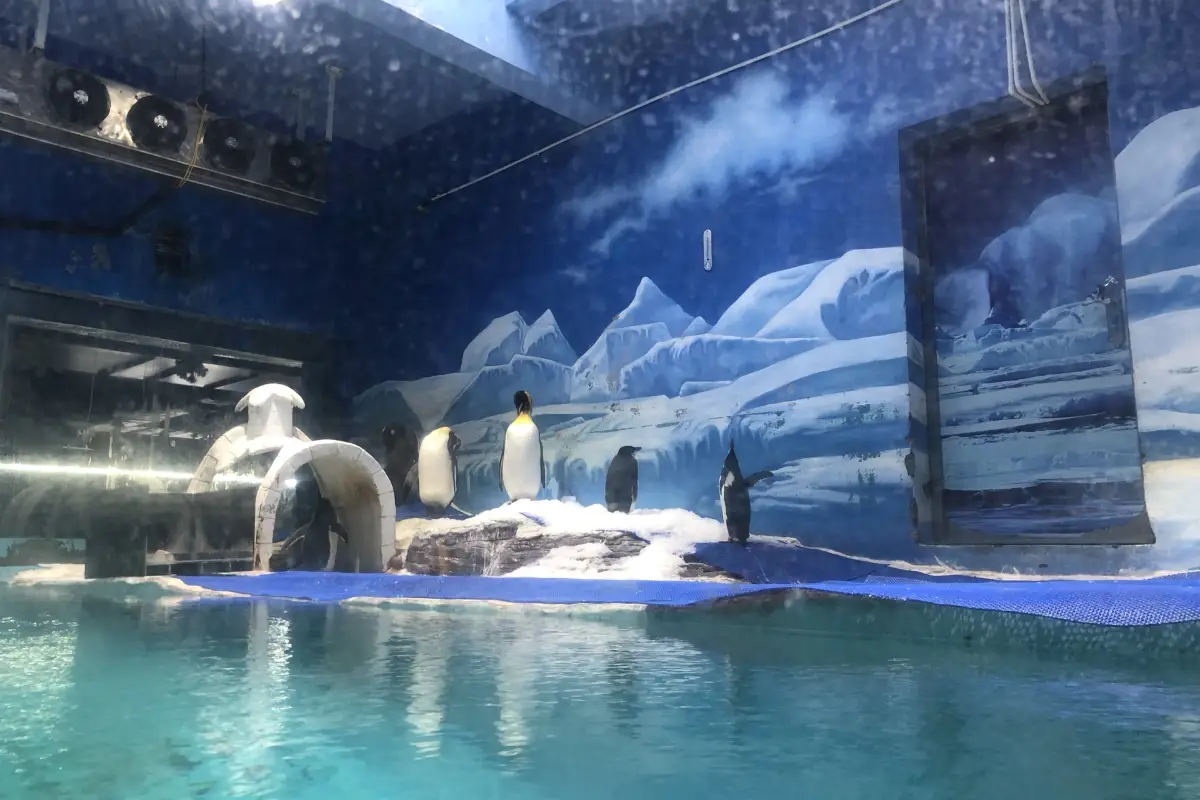 小梅沙海洋世界