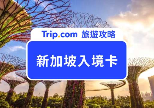 2026 新加坡入境卡怎麼申請？手把手教你如何填寫電子入境卡 | Trip.com