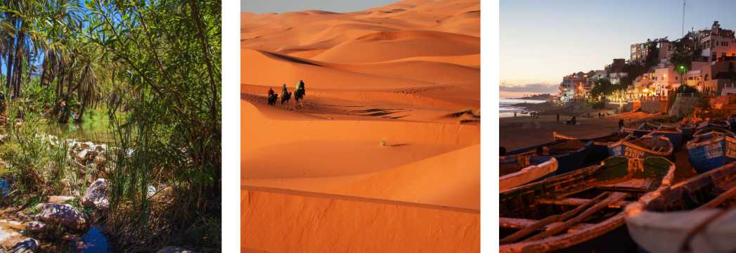 Palmeral con arroyo natural, dunas del desierto del Sáhara con camellos y puerto pesquero al atardecer en la costa marroquí