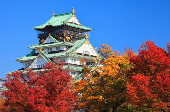 สถานที่ท่องเที่ยวแนะนำสำหรับคนถือ JR rail pass