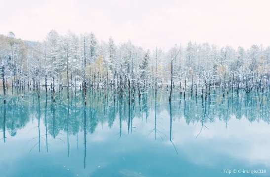 삿포로에서 비에이 겨울