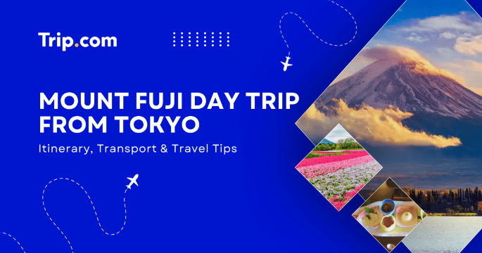 Mount Fuji one day trip from Tokyo