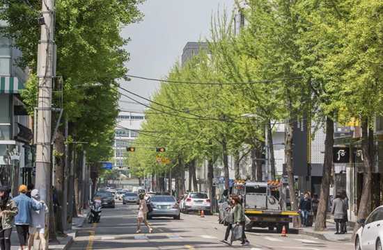 서울 혼자 여행