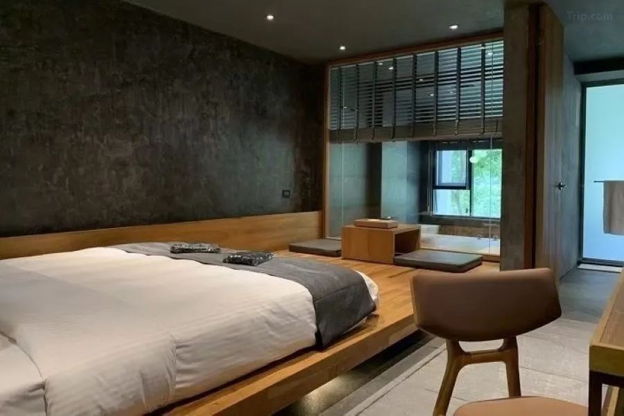 苗栗|苗栗泰安觀止溫泉會館