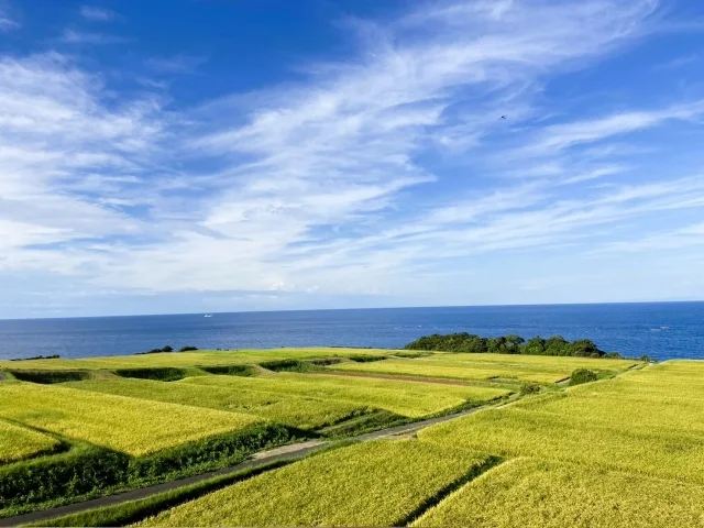 新井梯田