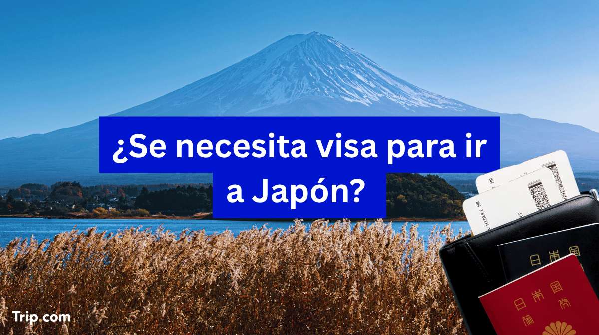 Requisitos de entrada a Japón: ¿se necesita visado?