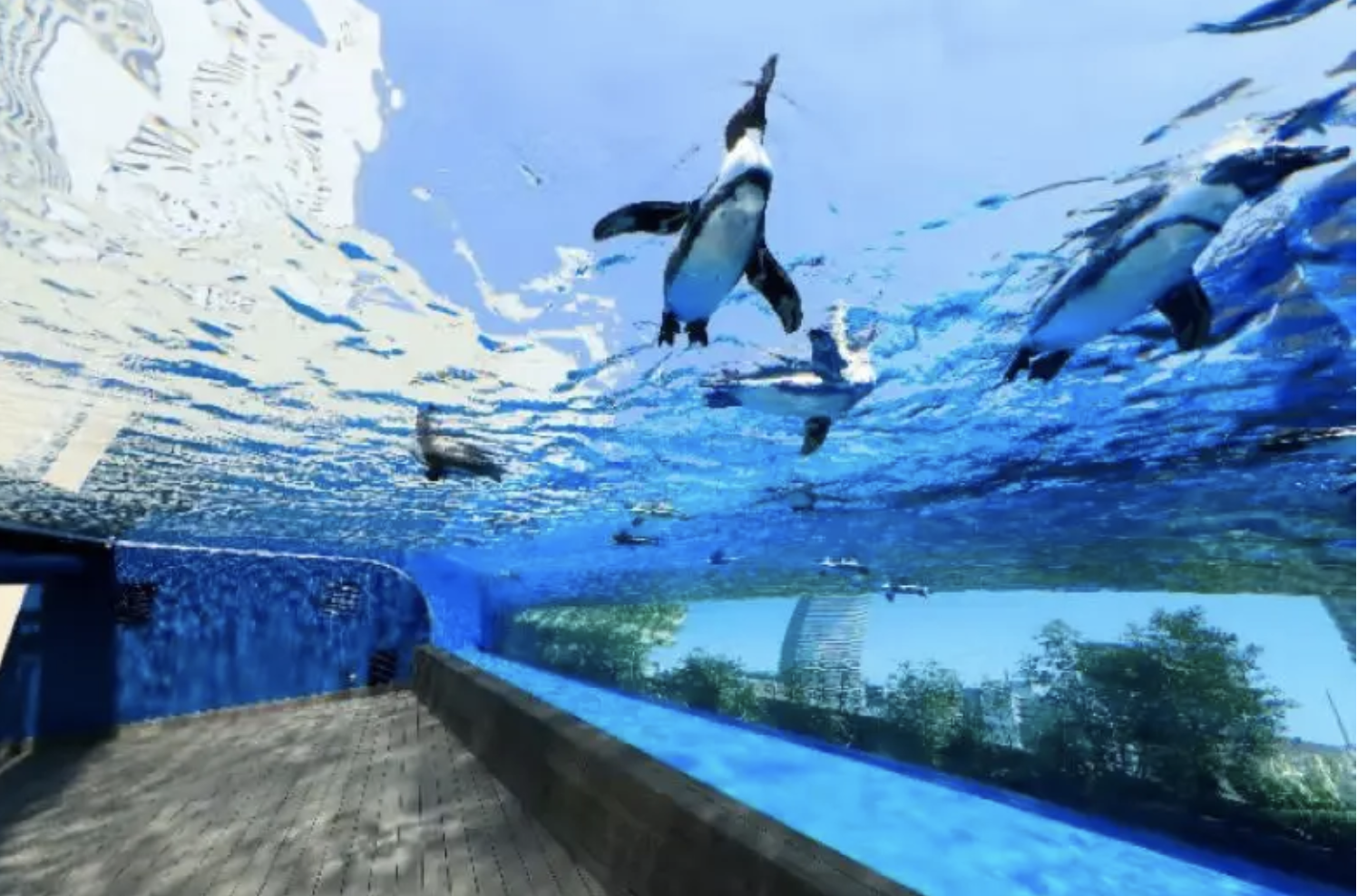 太陽城水族館