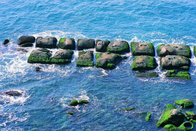 野柳地質公園, 景點, 豆腐岩