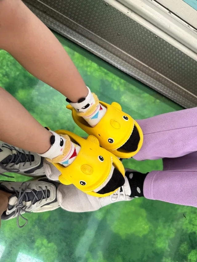 貓空纜車亮點# 3 水晶車廂