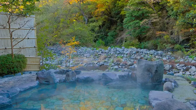 東京一日遊, 箱根湯本溫泉