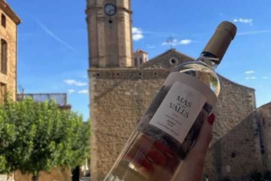 바르셀로나 와이너리 투어 프리오랏