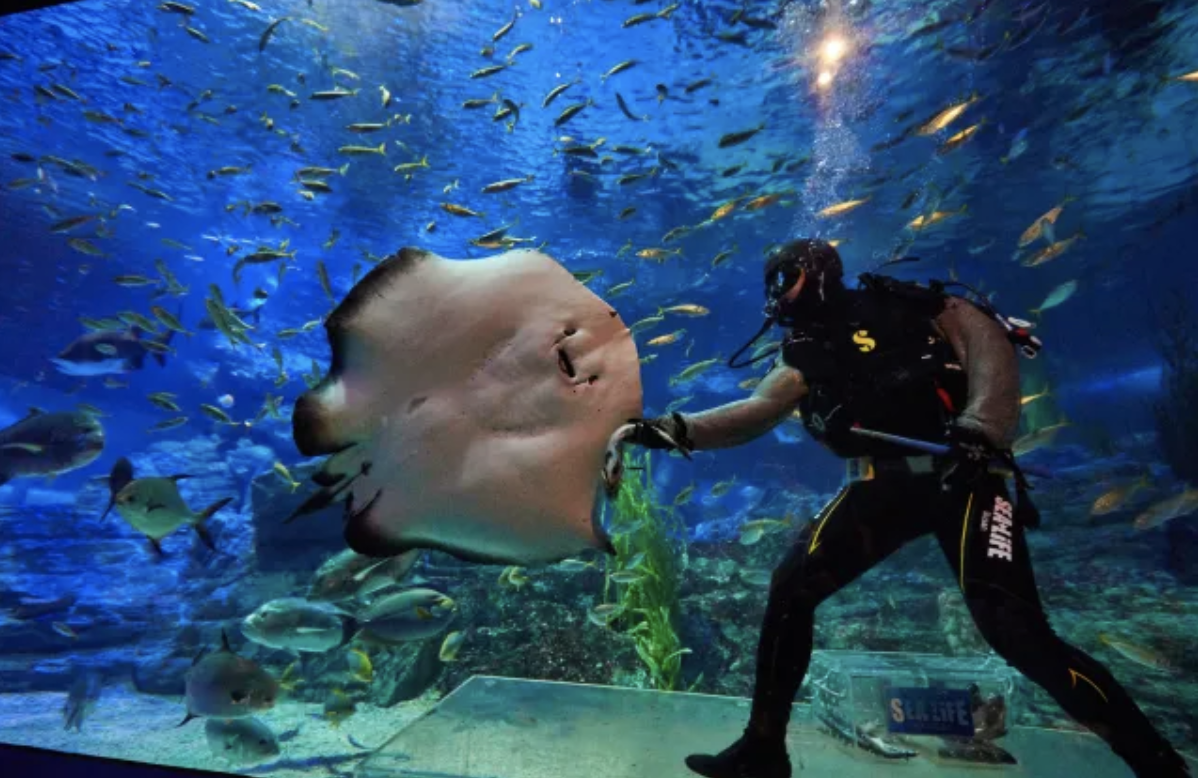 釜山水族館