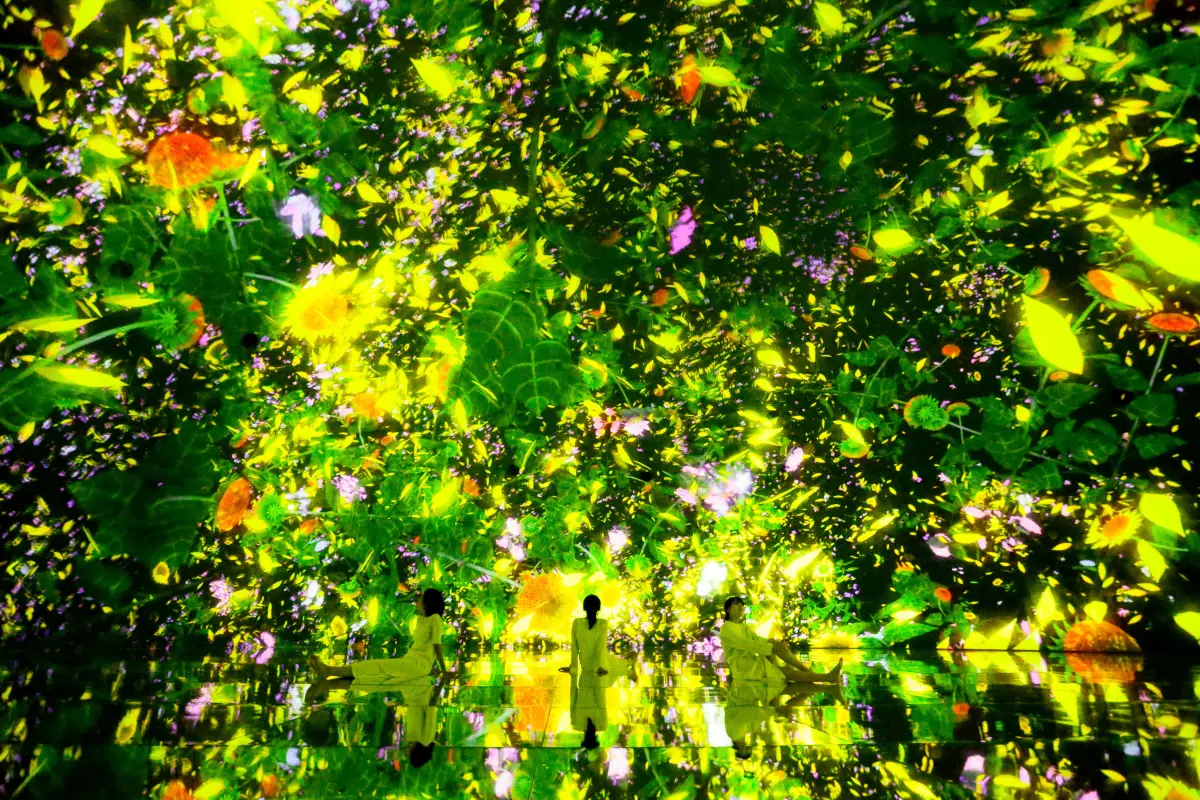 豐洲teamLab Planets TOKYO美術館