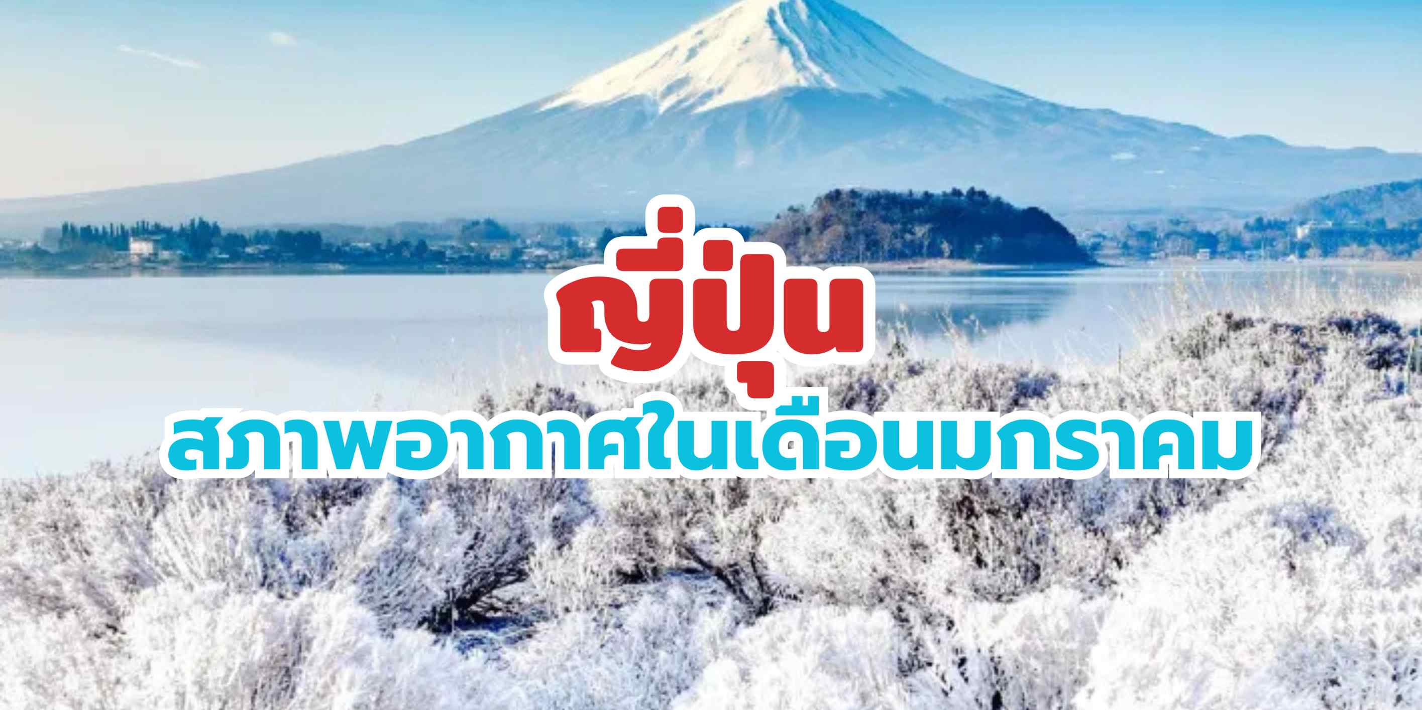 สภาพอากาศญี่ปุ่นในเดือนมกราคม