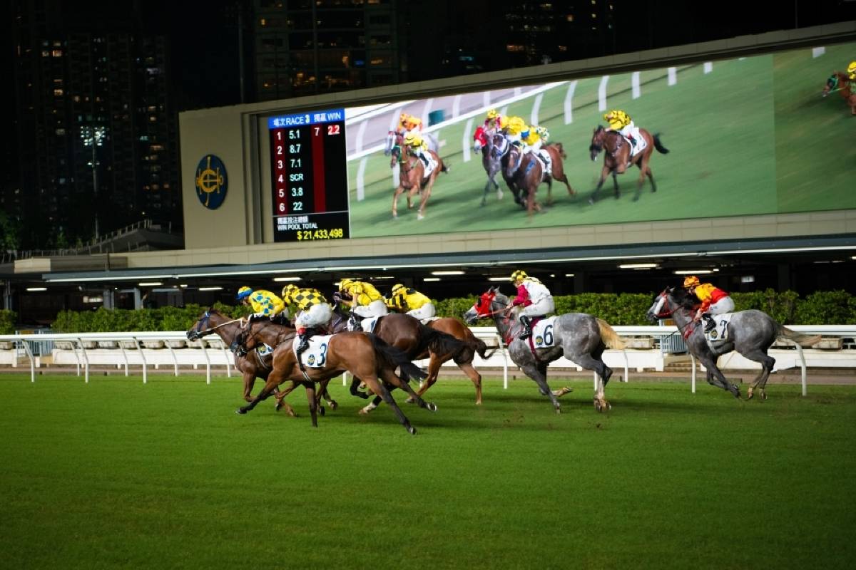 홍콩 관광지 해피밸리 경마장