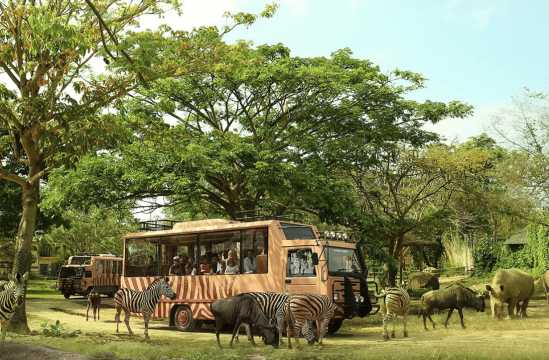 발리 입국신고서 관광세