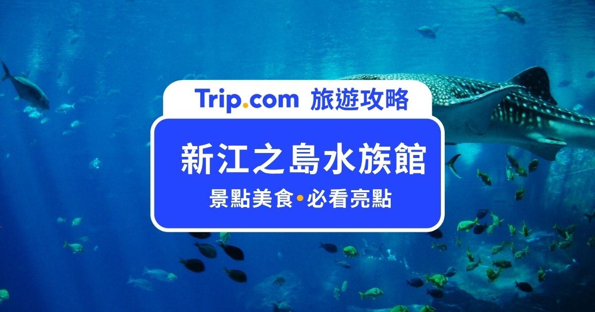 【新江之島水族館】湘南海岸必去景點，新江之島水族館優惠活動這裡看！ | Trip.com