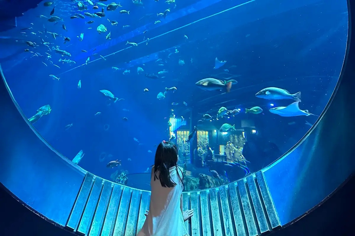 DMM Kariyushi 水族館｜必看亮點 1F 美麗礁嶼海底隧道