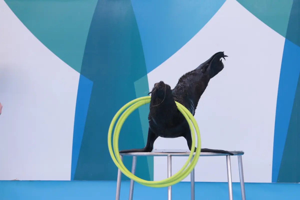 ที่เที่ยวพัทยา