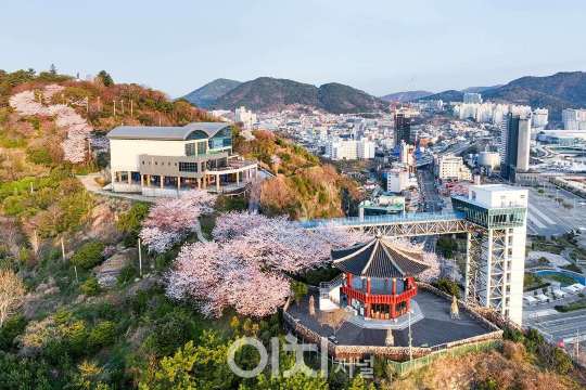 여수 벚꽃 명소, 자산공원