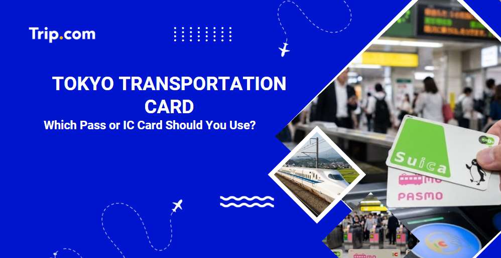 Tokyo Transport Card Guide: Suica, ICOCA & Subway Passes | Trip.com