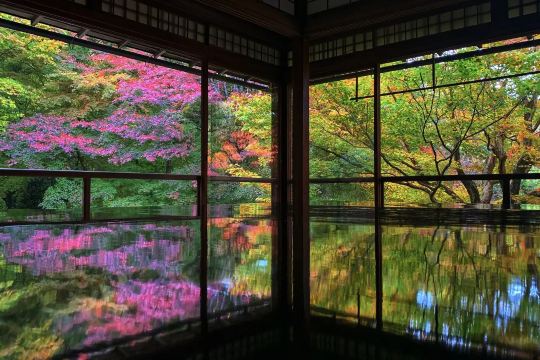 琉璃光院簡介
