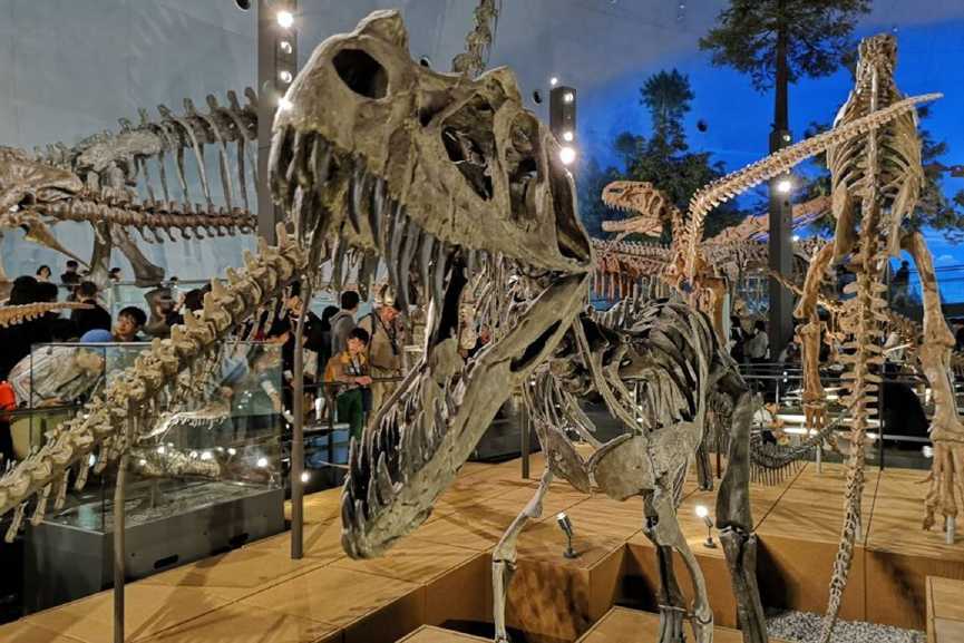 福井縣立恐龍博物館