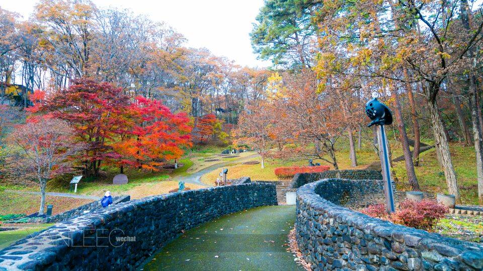 花卷景點｜宮澤賢治童話村