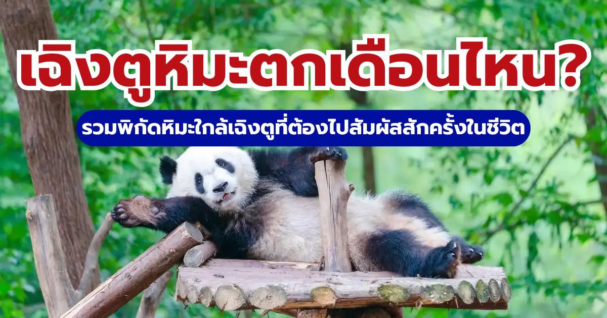 เฉิงตูหิมะตกเดือนไหน? อัปเดต 5 ที่เที่ยวหิมะสวยที่สุดในปี 2569 | Trip.com