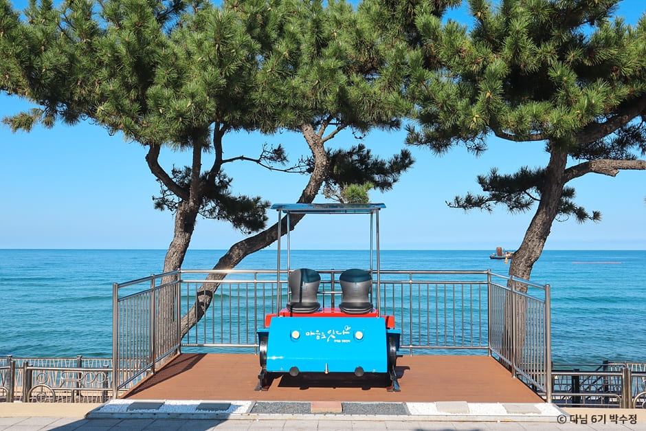 강릉 가족여행, 정동진