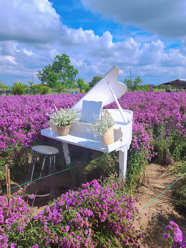 สวนดอกไม้ป้านกเอี้ยง