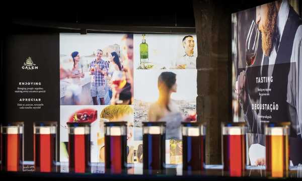 포르투 와이너리 투어 칼렘