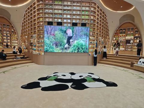 What to See at Chengdu Panda Base | Panda Conservation Exhibits