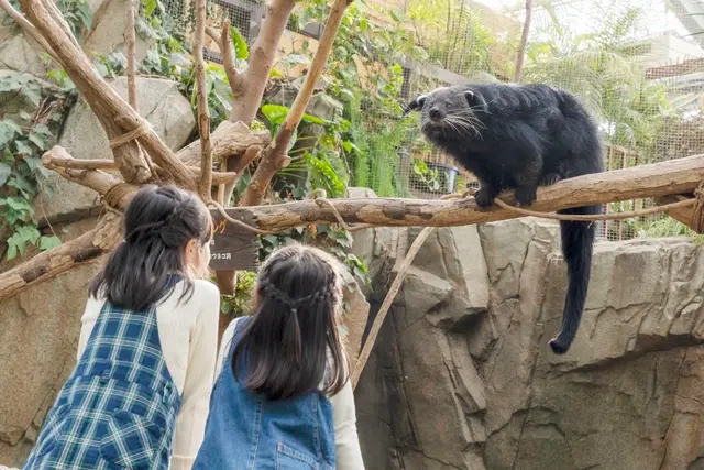 神戶動物王國｜亞洲森林
