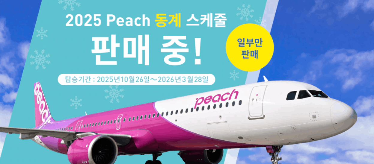 피치항공2