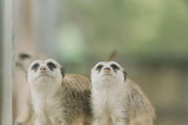 宜蘭農場｜水岸森林休閒農場