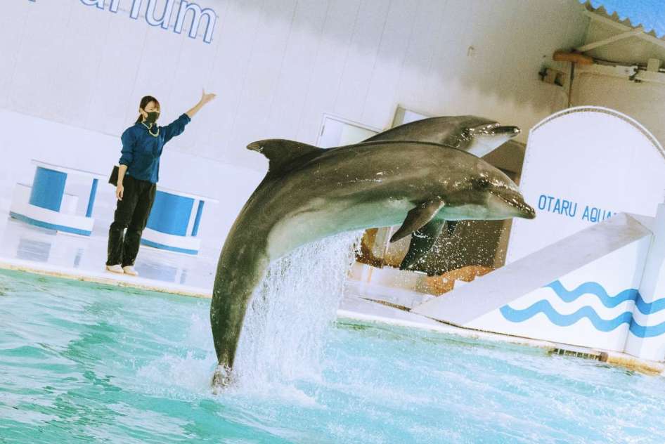 삿포로 자유 여행 일정